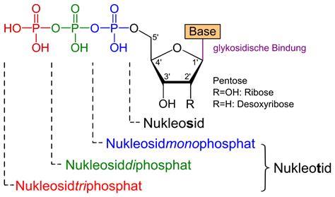 There have been instances like this before with the mrna vaccines. Nukleoside - Wikipedia