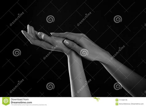 Two Hand Touching Black And White Stock Photo Image Of Horizontal