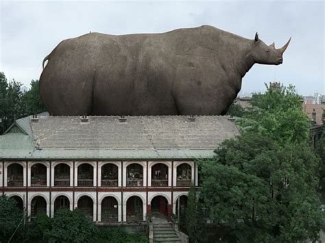Giant Animals Giant Photography