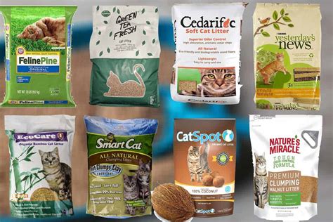 We know this choice can be confusing. 8 Types of Biodegradable Cat Litter (Including Pros and ...
