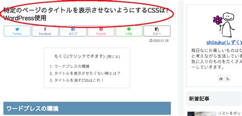 Cocoon ページのタイトルを非表示にするcssは？wordpress おさいフル