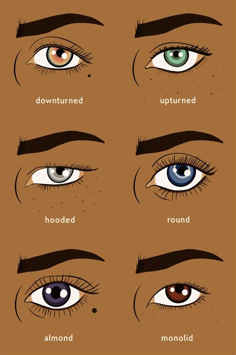 Everything You Need To Know About Applying Makeup For Your Eye Shape
