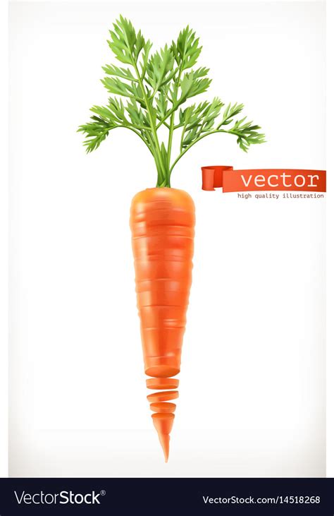 Carrot Vegetable 3d Icon Royalty Free Vector Image