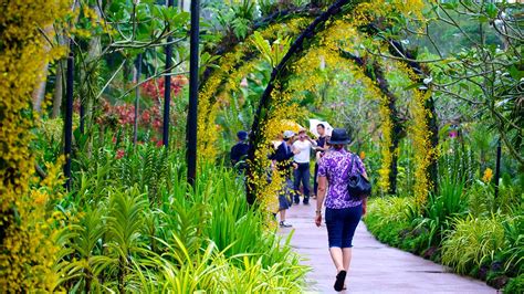 National Orchid Garden In Singapore Expedia