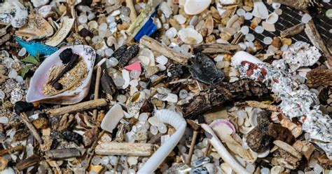 171 Trillion Pieces Of Plastic Trash Now Clog The Worlds Oceans