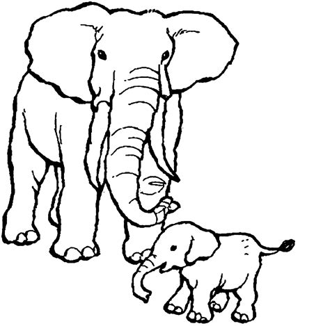 Elephant Coloring Pages Printable Drawing Kids Clipart Animals Wildlife