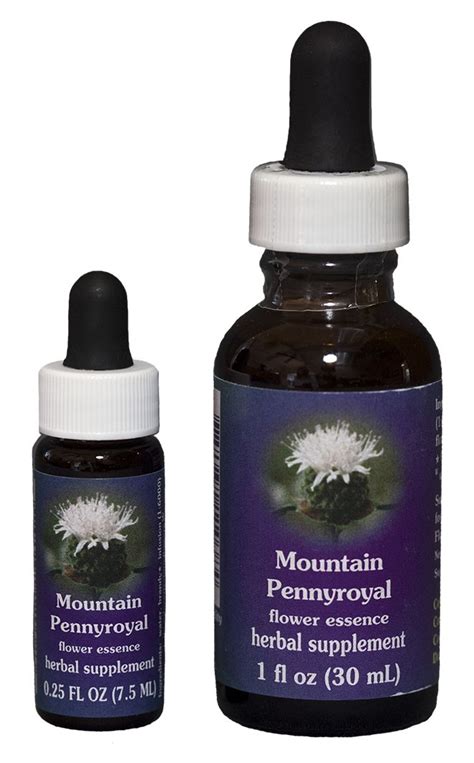 Mountain Pennyroyal Flower Essences