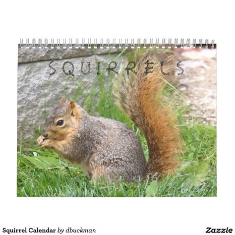 Squirrel Calendar Holidays And Events Squirrel Grid Style