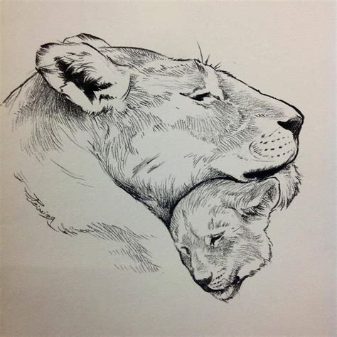 Lion geometric lineart tattoo pic.twitter.com/b170vqgow1. Lioness Drawing at GetDrawings | Free download