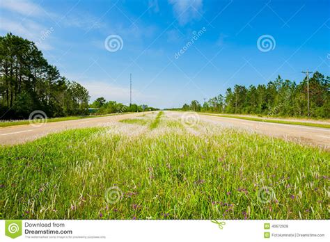 Highway Wildflowers Stock Photo Image Of Driving Landscape 40672928