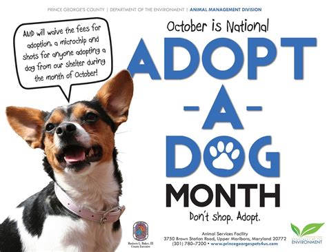 South Laurel Views October Is Free National Adopt A Dog Month
