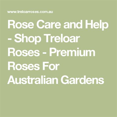 Rose Care And Help Shop Treloar Roses Premium Roses For Australian