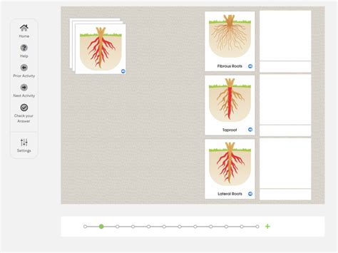 Botany Nomenclature Montessori Rd Online