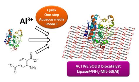 Catalysts Free Full Text Efficient One Step Immobilization Of Calb