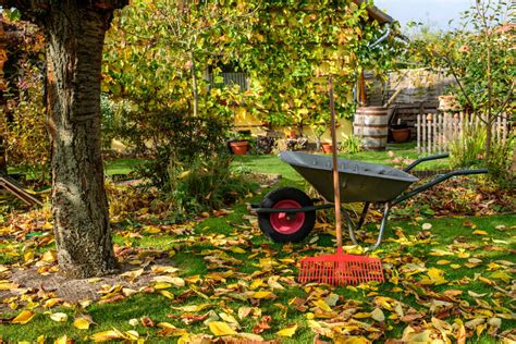 Get Your Garden Ready For Winter Green Thumb Landscaping
