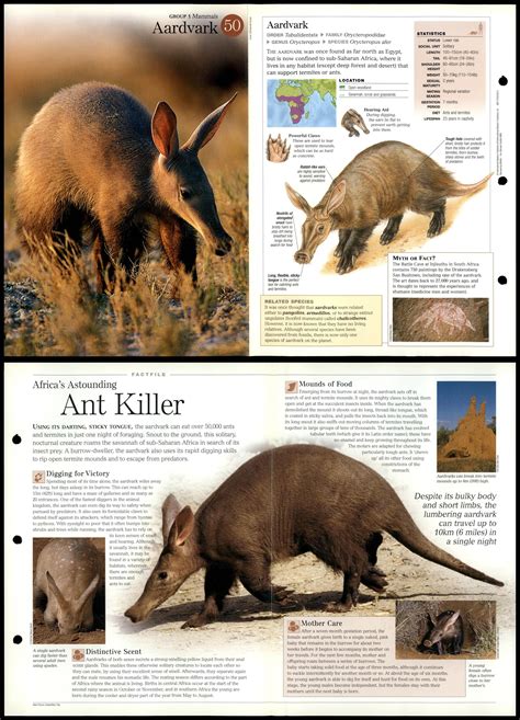 Aardvark 50 Mammals Discovering Wildlife Fact File Fold Out Card