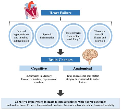Biology Free Full Text Cognitive Impairment In Heart Failure—a Review