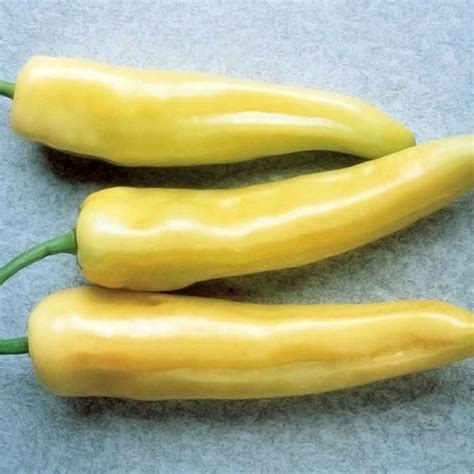 Hungarian Yellow Hot Wax Banana Pepper Hot Jw Jung Seed Company