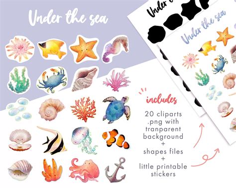 20 Coral Reef Clipart Set Sea Turtle Sticker And Bubbles Etsy Clip