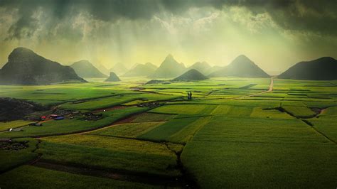 The Canola Fields Luoping Yunnan China Windows Spotlight Images