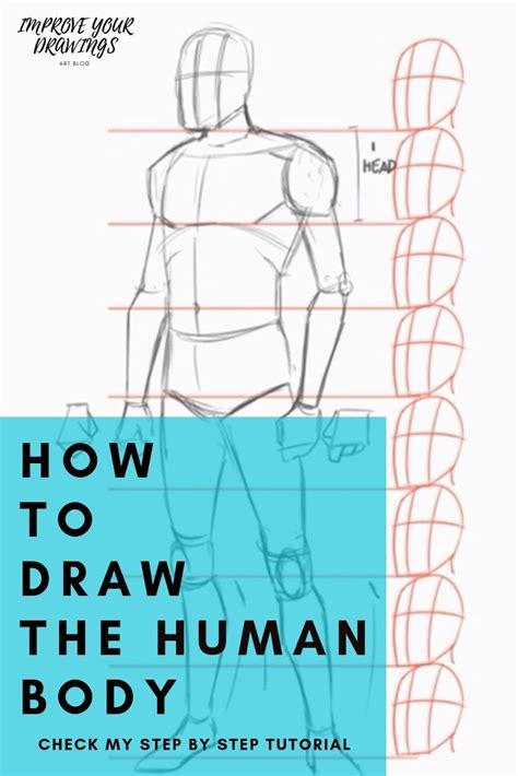 How To Draw The Human Body Step By Step How To Draw A Person Tutorial Human Body Body Tutorial