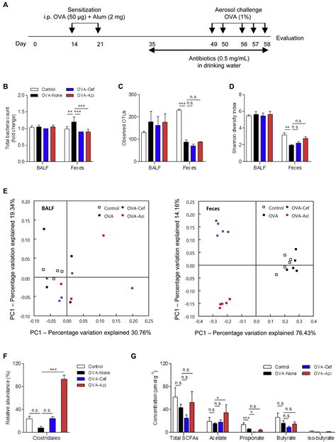 Altered Gut Microbiota By Azithromycin Attenuates Airway Inflammation