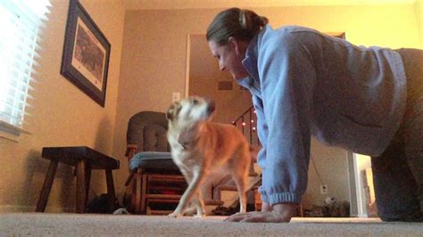 Dog And Mom Doing Physical Therapy Exercises Youtube