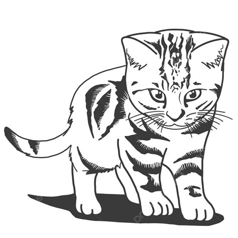 kucing ganas