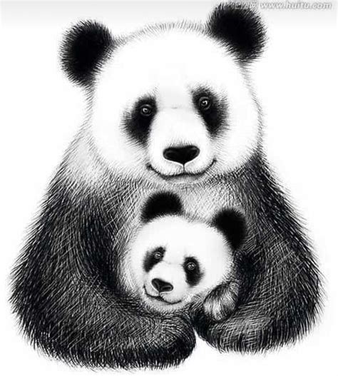 Pin By Ginny Baker On Pandas Panda Bear Art Panda Drawing Panda Art