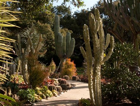 Xeriscaping Plus Drought Proof Gardening Resources With Images