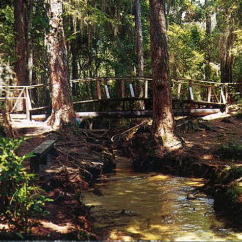 Gold head branch state park, a florida state park, is just shy of 2400 acres of rolling sandhills, marshes, ravines, lakes and scrub located. Camping Mike Roess Gold Head Branch State Park in Florida ...