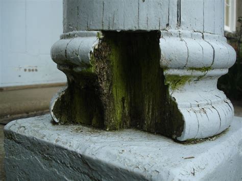 5 Ways To Prevent Wood Columns From Rotting | Wood columns, Wood, Porch columns