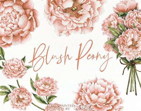 Watercolor Peony Clipart Blush Peonies Flower Peach Clip Art Etsy In
