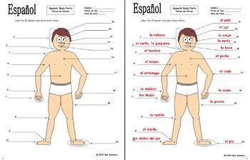 Learn useful names of human body parts in english with pictures and examples to improve and enhance your vocabulary words. Spanish Body Parts Diagram to Label with 20 Body Parts ...