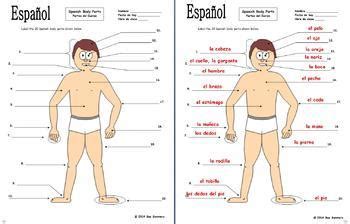 We did not find results for: Spanish Body Parts Diagram to Label with 20 Body Parts ...