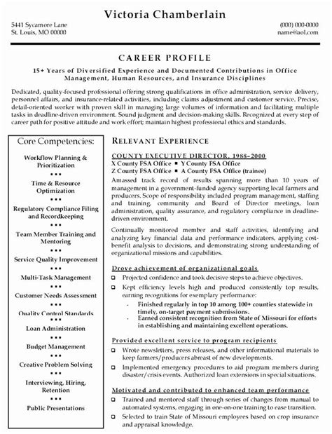 Executive Director Resume Template Printable Word Searches