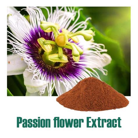Passion Flower Extract Manufacturer Wholesale And Herbs Supplier