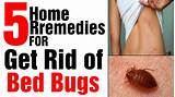 Photos of Youtube How To Get Rid Of Bed Bugs