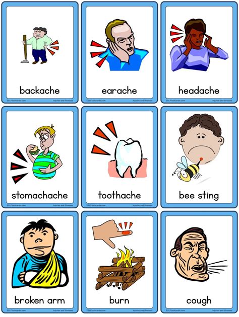 Illnesses are the diseases or sicknesses. body - ESL Flashcards