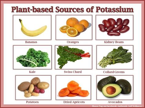 Plant Based Sources Of Potassium Vegan Nutrition Nutrition Recipes
