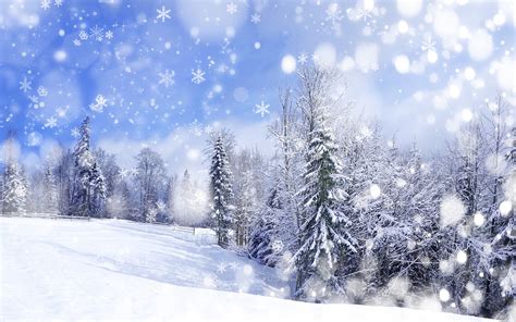 Free Download Winter Wallpapers Hd 2560x1600 For Your Desktop Mobile