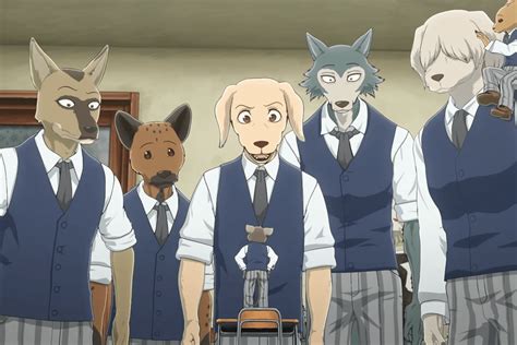 Beastars Season 3 Release Date Cast Trailer And More For Anime