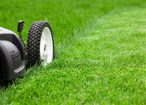 We did not find results for: How to Fix a Bumpy Lawn | DIY Home Improvement Forum