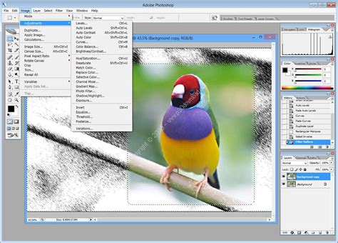 Adobe Photoshop Cs 8 Software Sapjetrading