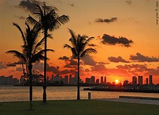 Image result for flicker commons images Miami 
