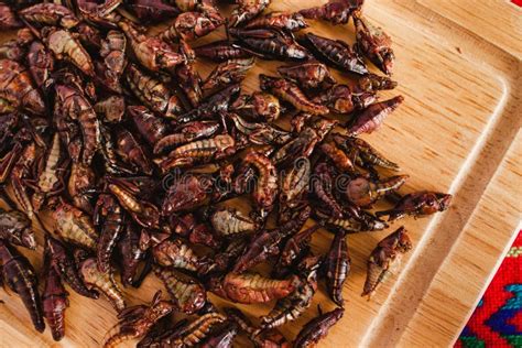 Chapulines Grasshoppers Snack Traditional Mexican Cuisine From Oaxaca My Xxx Hot Girl