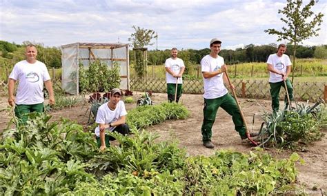 Gartenbauunternehmen für landschaftspflegearbeiten, gartenarchitektur, rasenarbeiten. Garten- und Landschaftsbau-Azubis gestalten Flächen rund ...