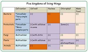 Kingdoms Of Living Organisms Biology Notes For Igcse 2014