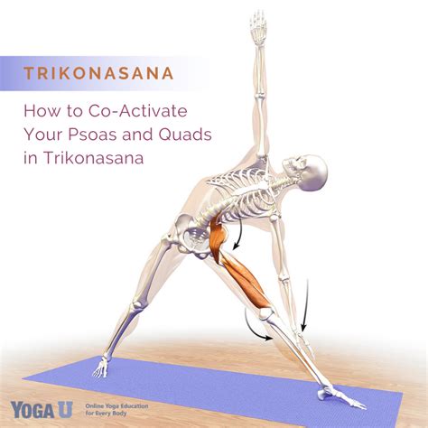Trikonasana Part 1 How To Co Activate Your Psoas And Quads In