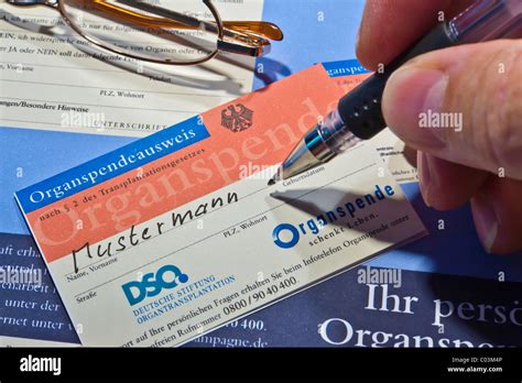 Organ Donor Card Stock Photo Alamy
